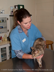 Dr. Kristi Brown New Vet at Raton Animal Hospital